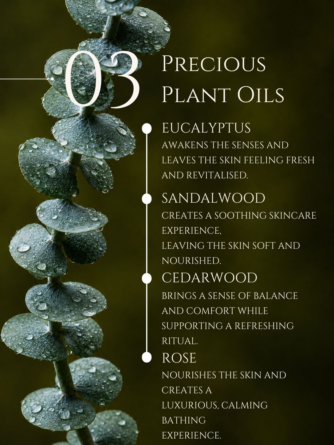 BODY CLEANSER No 3. EUCALYPTUS | SANDALWOOD | CEDARWOOD | ROSE ALOE VERA | BASIL