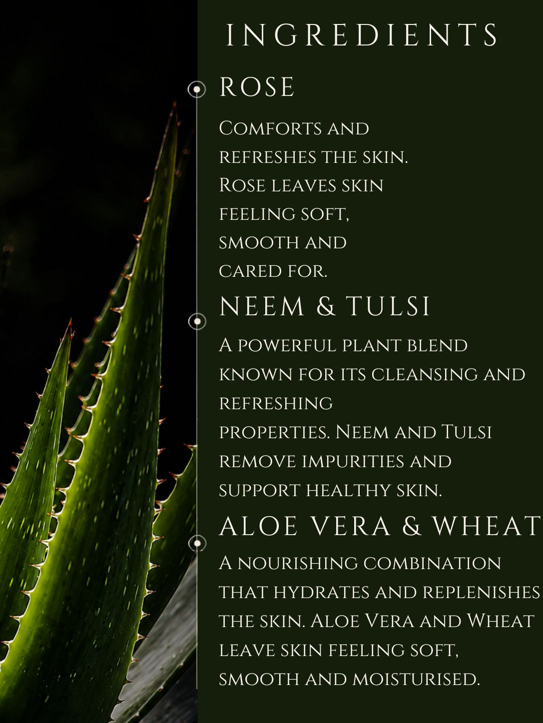 BODY CLEANSER No 3. EUCALYPTUS | SANDALWOOD | CEDARWOOD | ROSE ALOE VERA | BASIL