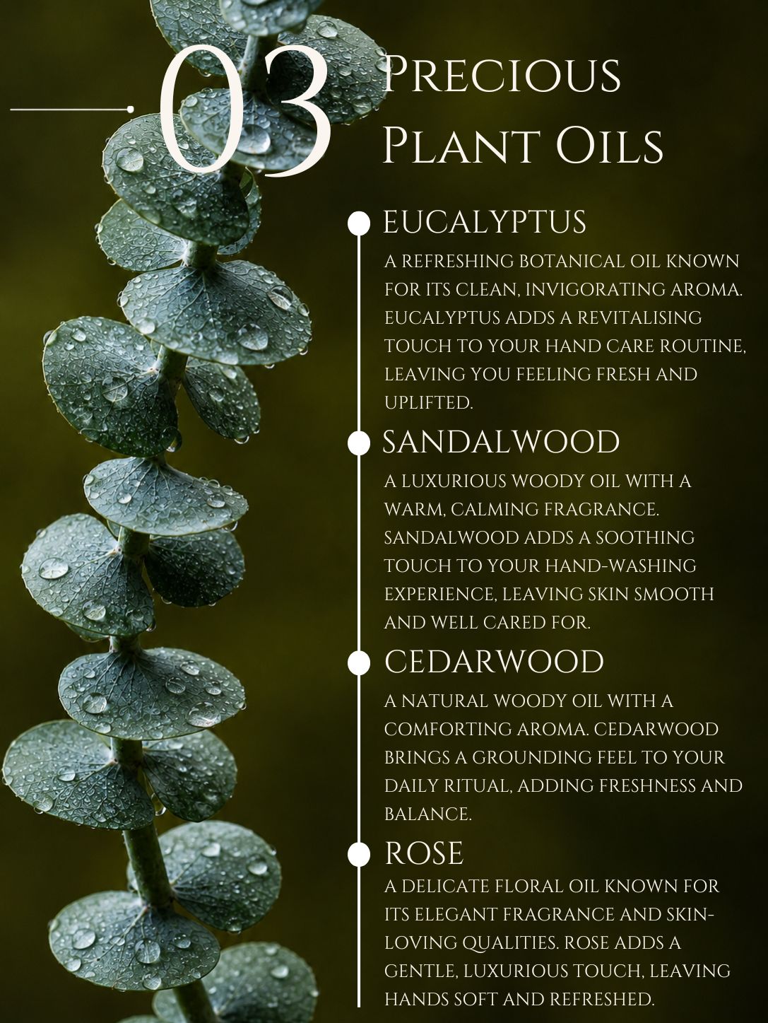 HAND WASH     ALOE VERA | NEEM    No 3. EUCALYPTUS | SANDALWOOD | CEDARWOOD | ROSE