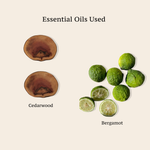 BOTANICAL BEARD OIL - GROOM, HYDRATE, STRENGTHEN