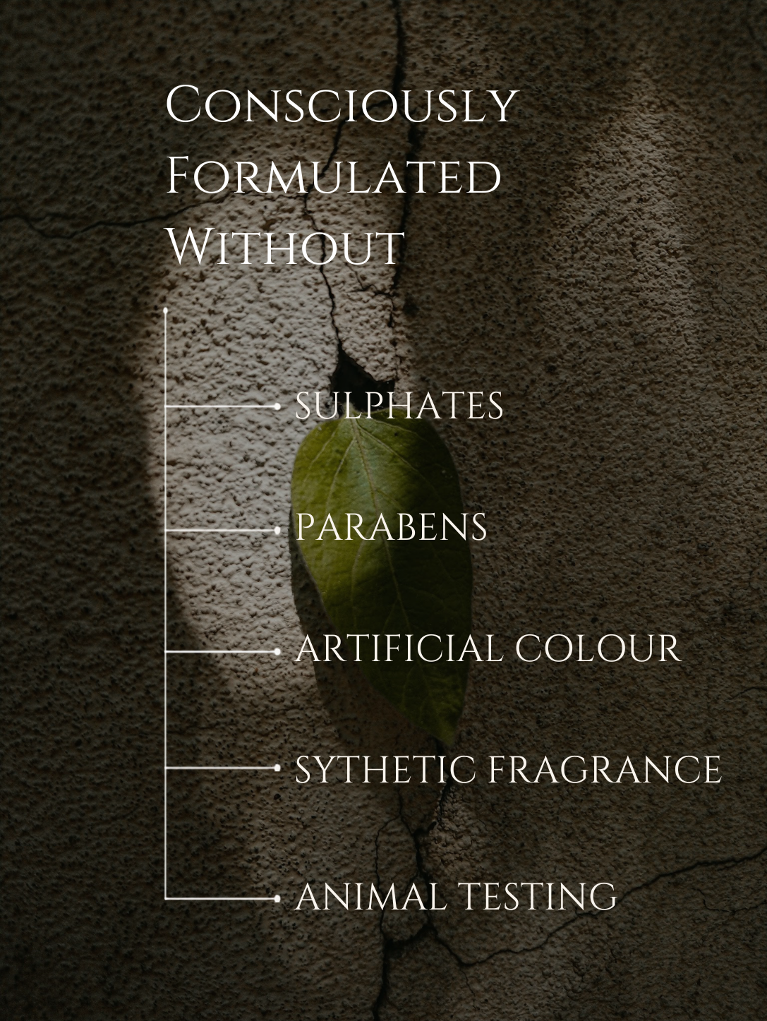 BODY CLEANSER No 8. OUD | BERGAMOT ALOE VERA | BASIL
