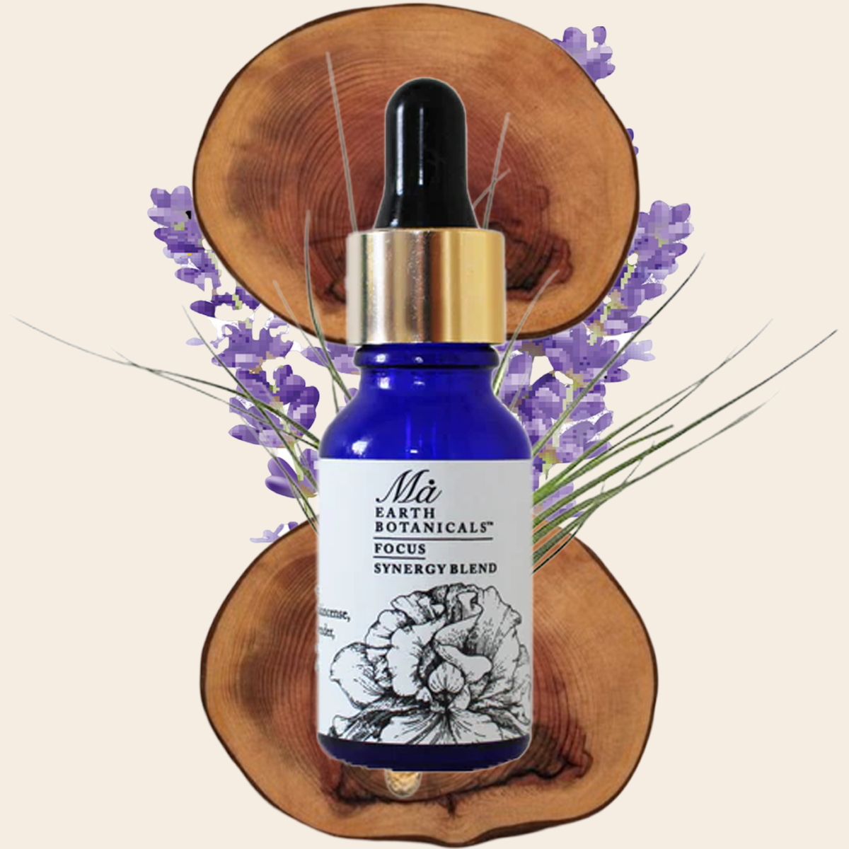 FOCUS SYNERGY BLEND