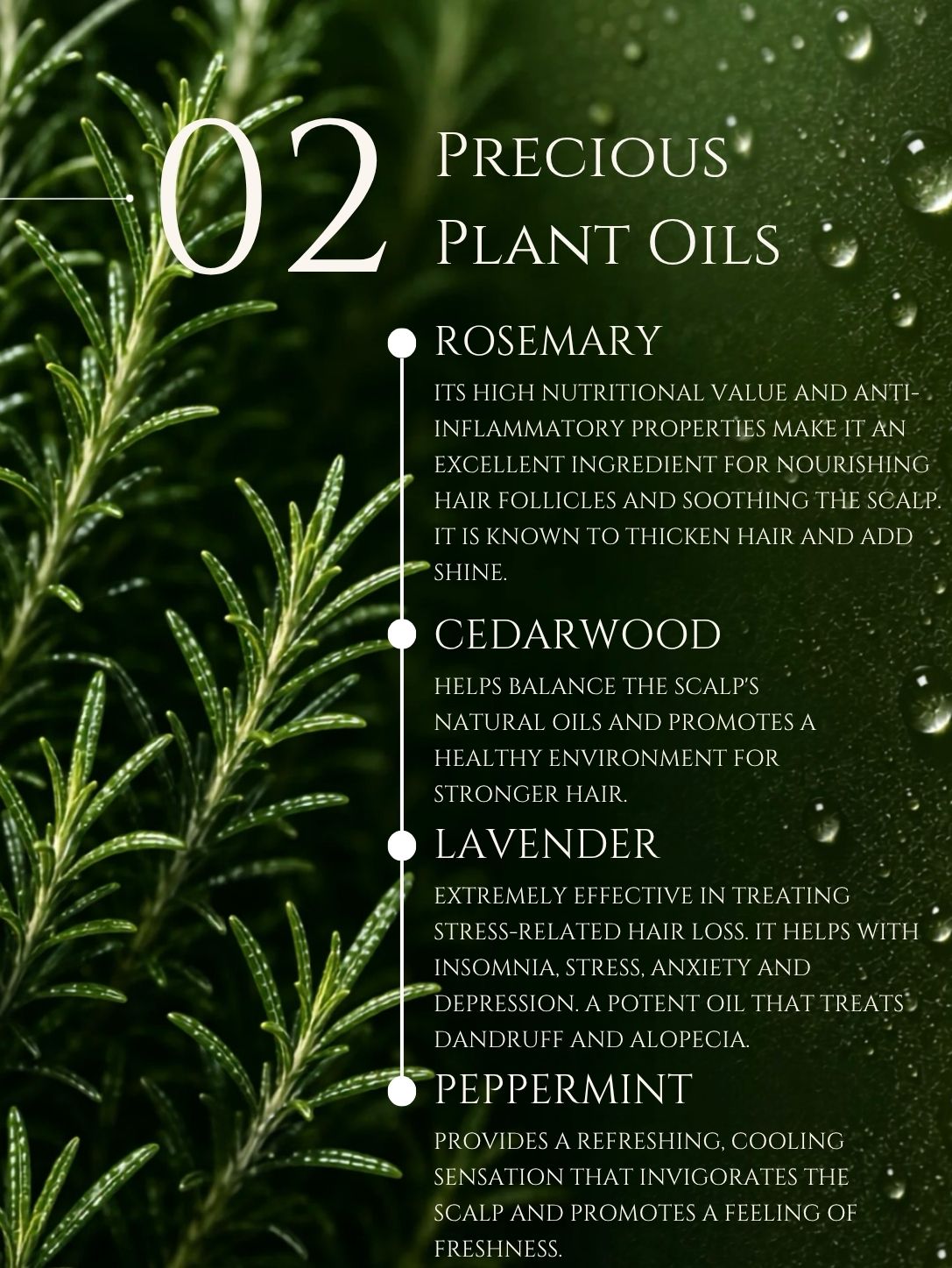 FORTIFYING HAIR OIL     ALMOND | MOROCCAN | ONION | COCONUT     No 2. ROSEMARY | CEDARWOOD | LAVENDER | PEPPERMINT