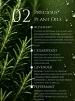 FORTIFYING HAIR OIL     ALMOND | MOROCCAN | ONION | COCONUT     No 2. ROSEMARY | CEDARWOOD | LAVENDER | PEPPERMINT