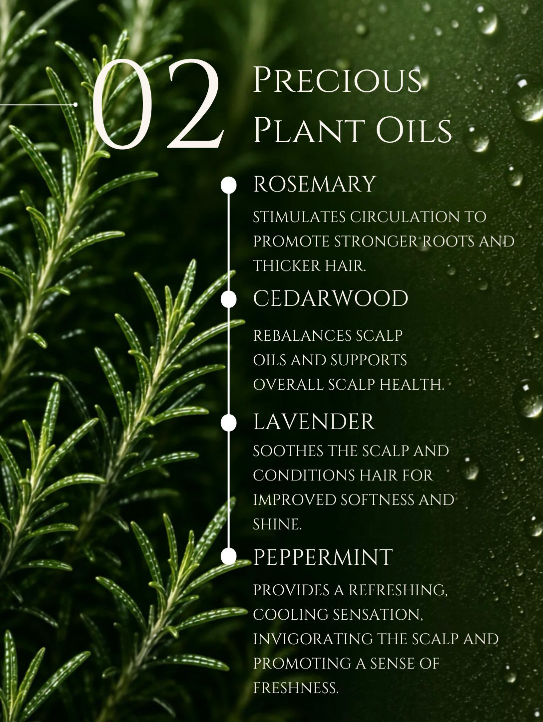 HAIR CONDITIONER     ALOE VERA | LIQUORICE | ROSEMARY    No 2. ROSEMARY | CEDARWOOD | LAVENDER | PEPPERMINT