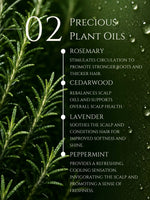HAIR CONDITIONER     ALOE VERA | LIQUORICE | ROSEMARY    No 2. ROSEMARY | CEDARWOOD | LAVENDER | PEPPERMINT
