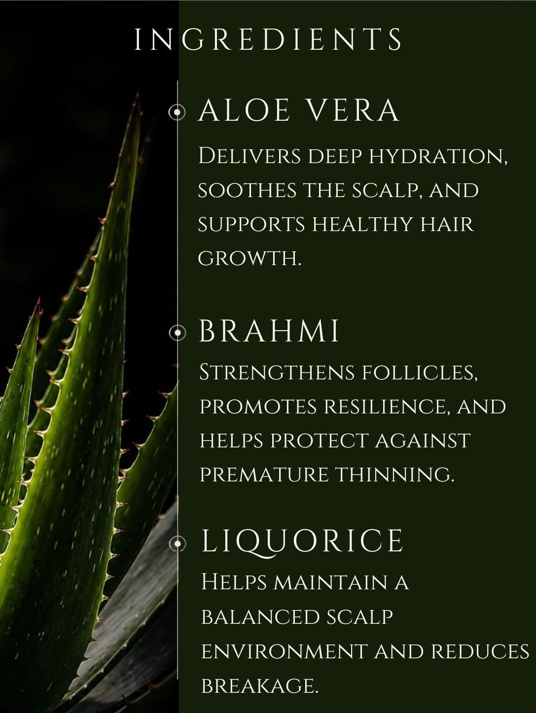 HAIR CONDITIONER     ALOE VERA | LIQUORICE | ROSEMARY    No 4. GERANIUM | YLANG YLANG | CLARY SAGE