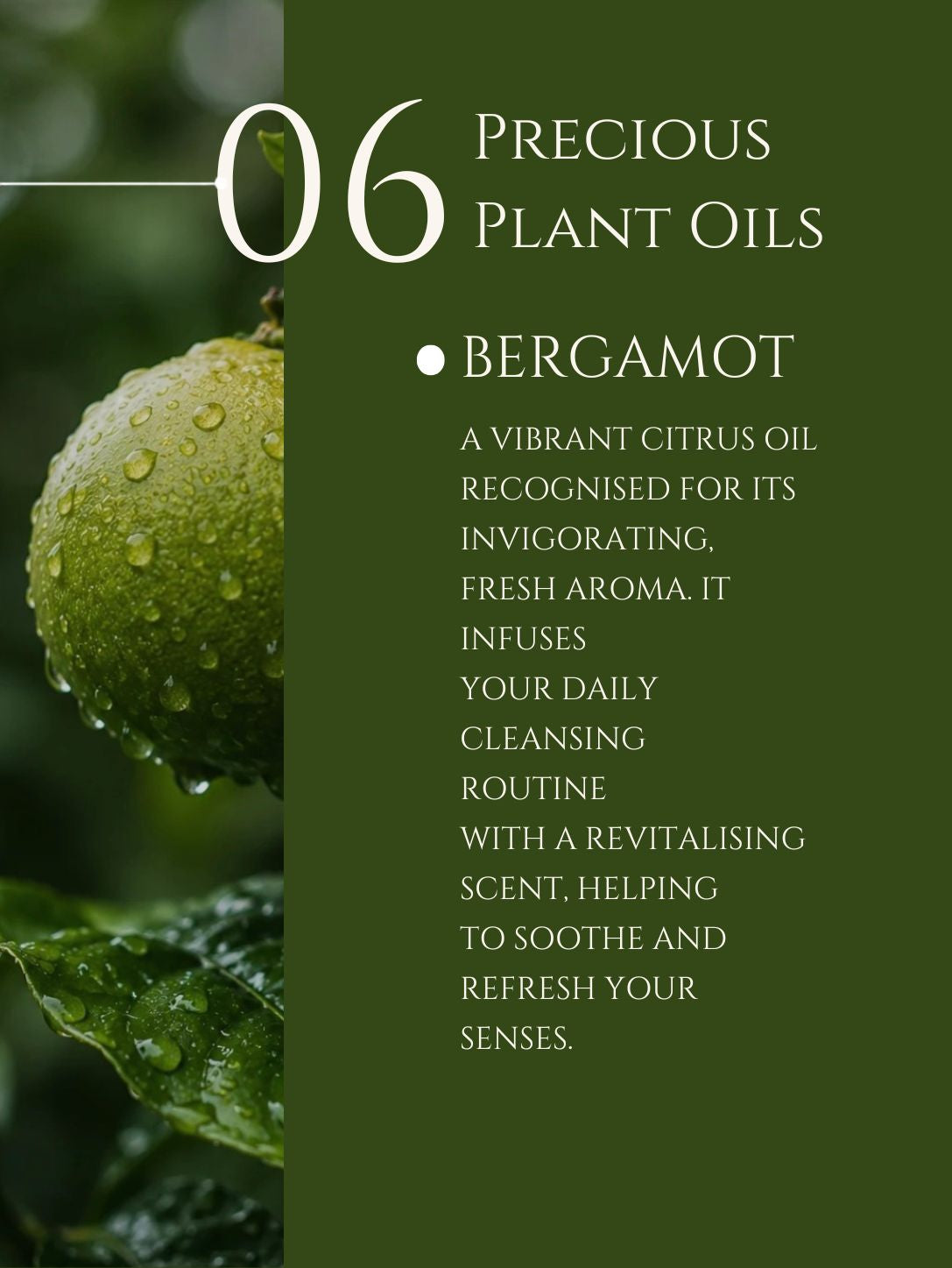 HAND WASH     ALOE VERA | NEEM    No 6. BERGAMOT