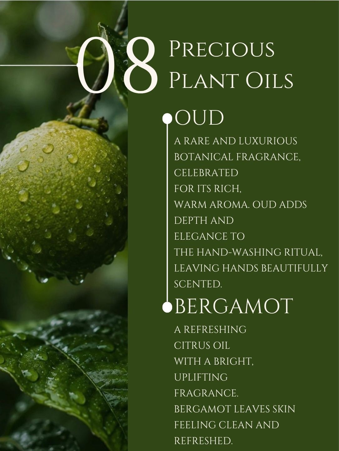 HAND WASH     ALOE VERA | NEEM    No 8. OUD | BERGAMOT