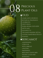 HAND WASH     ALOE VERA | NEEM    No 8. OUD | BERGAMOT