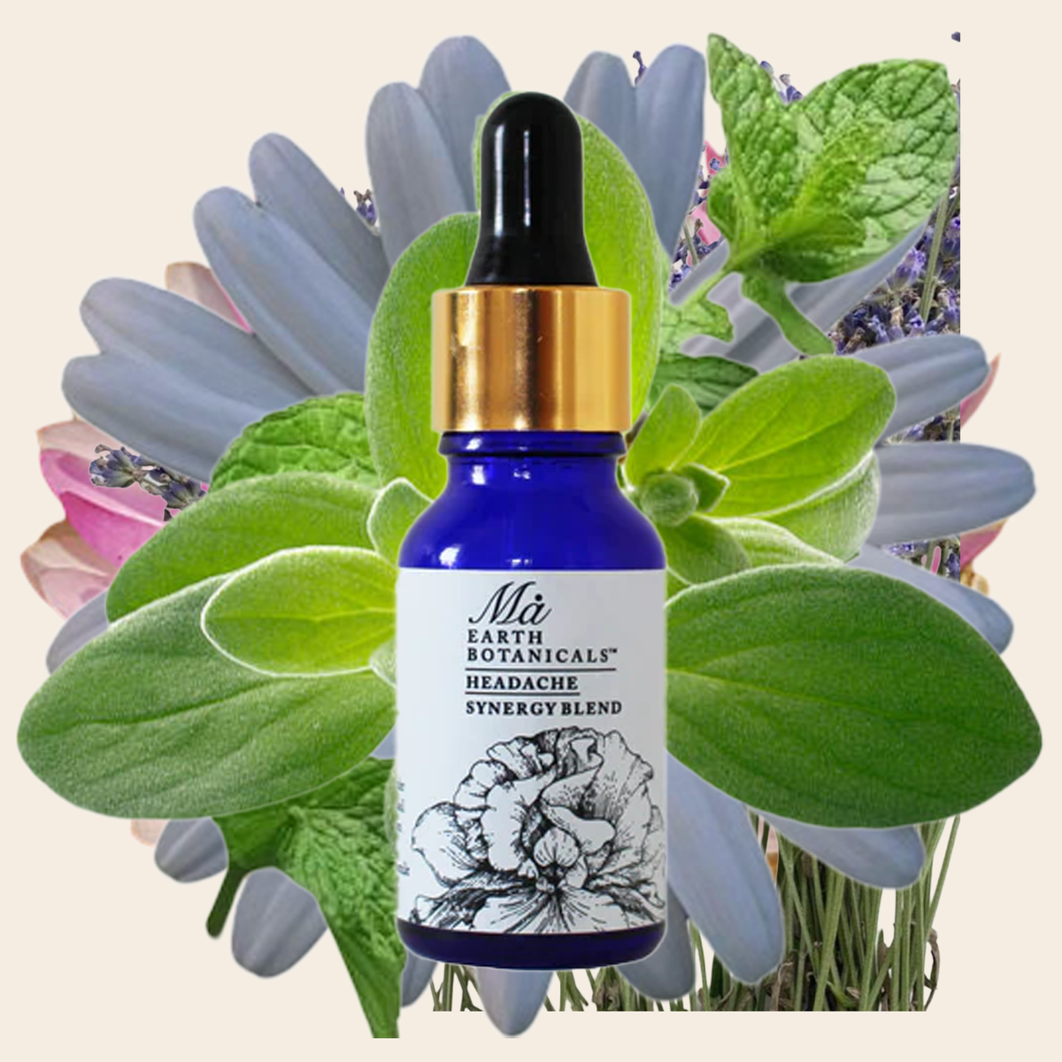 HEADACHE SYNERGY BLEND