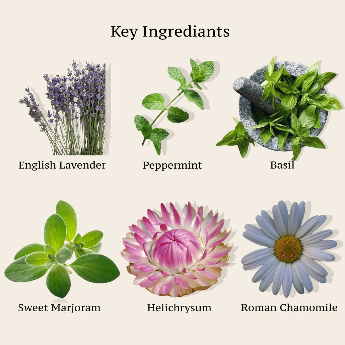 HEADACHE SYNERGY BLEND