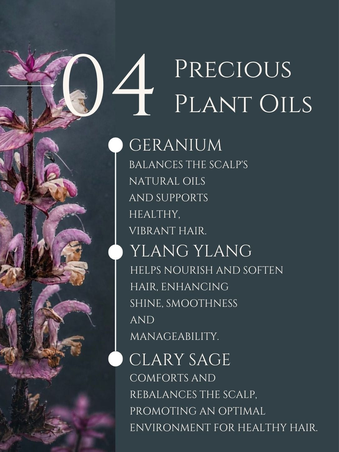 HAIR CONDITIONER     ALOE VERA | LIQUORICE | ROSEMARY    No 4. GERANIUM | YLANG YLANG | CLARY SAGE