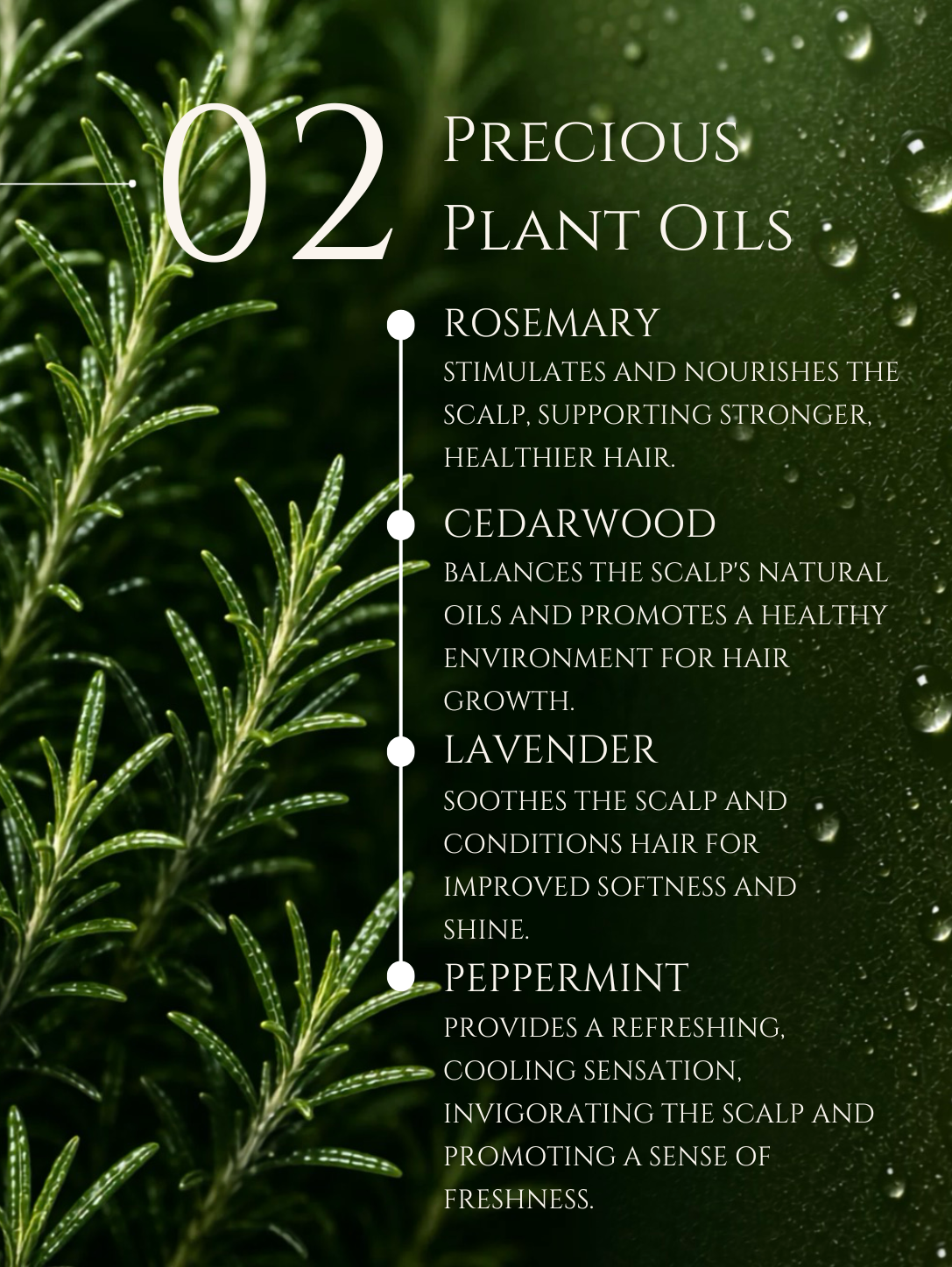 HAIR CLEANSER   <br>  AMLA | SHIKAKAI | BRAHMI   <br> No 2. ROSEMARY | CEDARWOOD | LAVENDER | PEPPERMINT