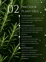 HAIR CLEANSER   <br>  AMLA | SHIKAKAI | BRAHMI   <br> No 2. ROSEMARY | CEDARWOOD | LAVENDER | PEPPERMINT