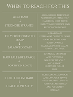HAIR CLEANSER   <br>  AMLA | SHIKAKAI | BRAHMI   <br> No 2. ROSEMARY | CEDARWOOD | LAVENDER | PEPPERMINT