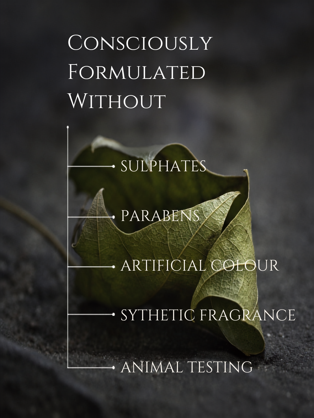 HAIR CLEANSER   <br>  AMLA | SHIKAKAI | BRAHMI   <br> No 2. ROSEMARY | CEDARWOOD | LAVENDER | PEPPERMINT