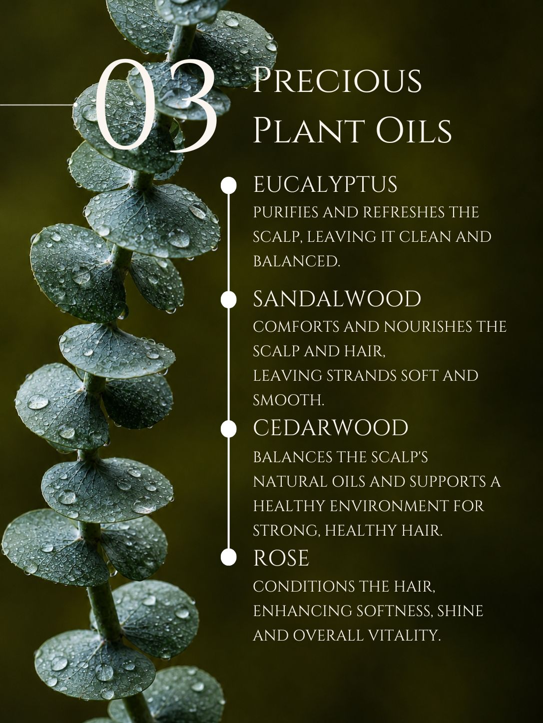 HAIR CLEANSER  AMLA | SHIKAKAI | BRAHMI No 3. EUCALYPTUS | SANDALWOOD | CEDARWOOD | ROSE