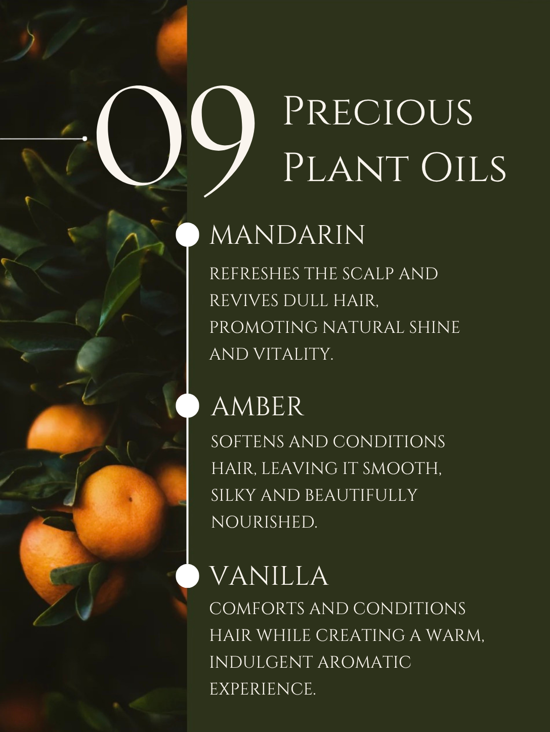 HAIR CLEANSER AMLA | SHIKAKAI | BRAHMI No 9. MANDARIN | AMBER | VANILLA