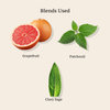HAIR CONDITIONER  (Enriched with Aloe Vera, Licorice & Rosemary) GRAPEFRUIT, PATCHOULI & CLARY SAGE