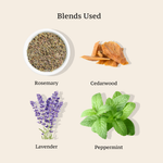 HAIR CLEANSER (Enriched with Amla, Shikakai, & Brahmi) ROSEMARY, CEDARWOOD, LAVENDER & PEPPERMINT