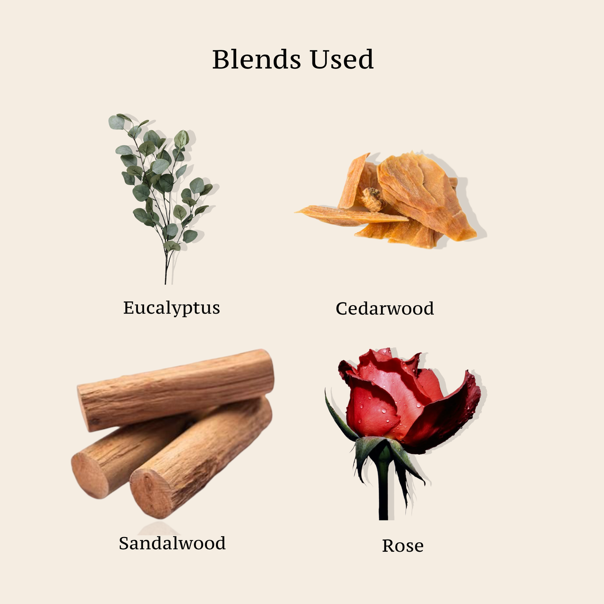 HAIR CLEANSER (Enriched with Amla, Shikakai & Brahmi) EUCALYPTUS, SANDALWOOD, CEDARWOOD ROSE