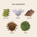 HAIR CONDITIONER(Enriched with Aloe Vera, Licorice & Rosemary) CEDARWOOD, LAVENDER & PEPPERMINT