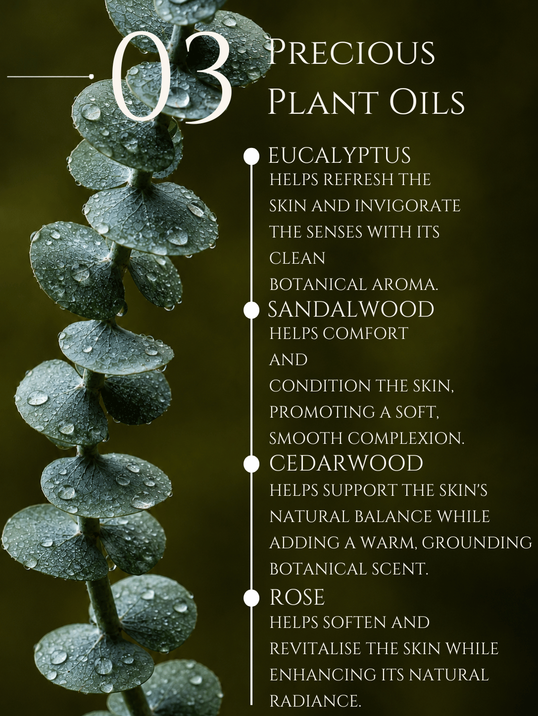 SUNSCREEN LOTION SPF 30    KASHMIRI SAFFRON | MULBERRY    No 3. EUCALYPTUS | SANDALWOOD | CEDARWOOD | ROSE