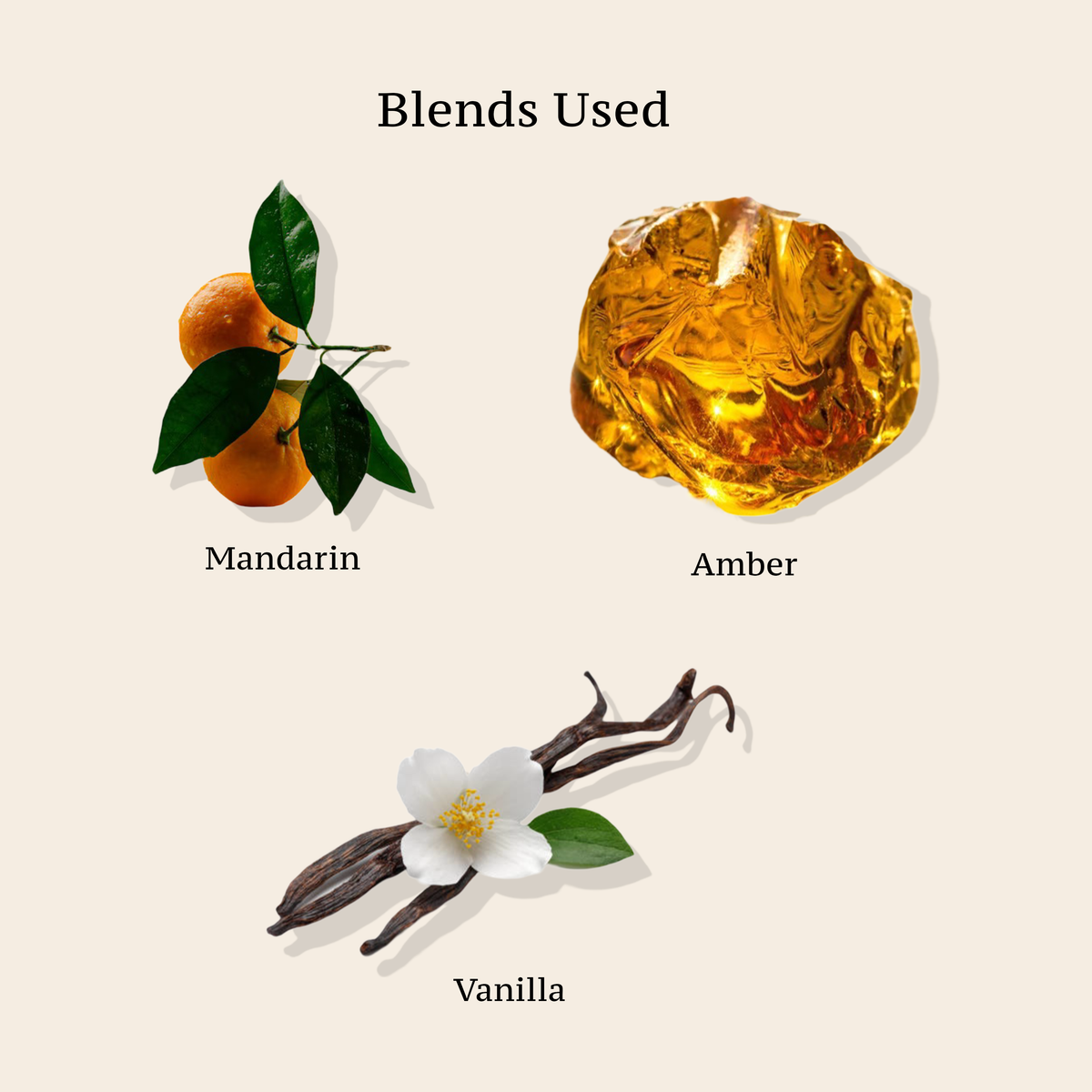 REJUVENATING HAND & BODY LOTION - MANDERIN, AMBER, VANILLA