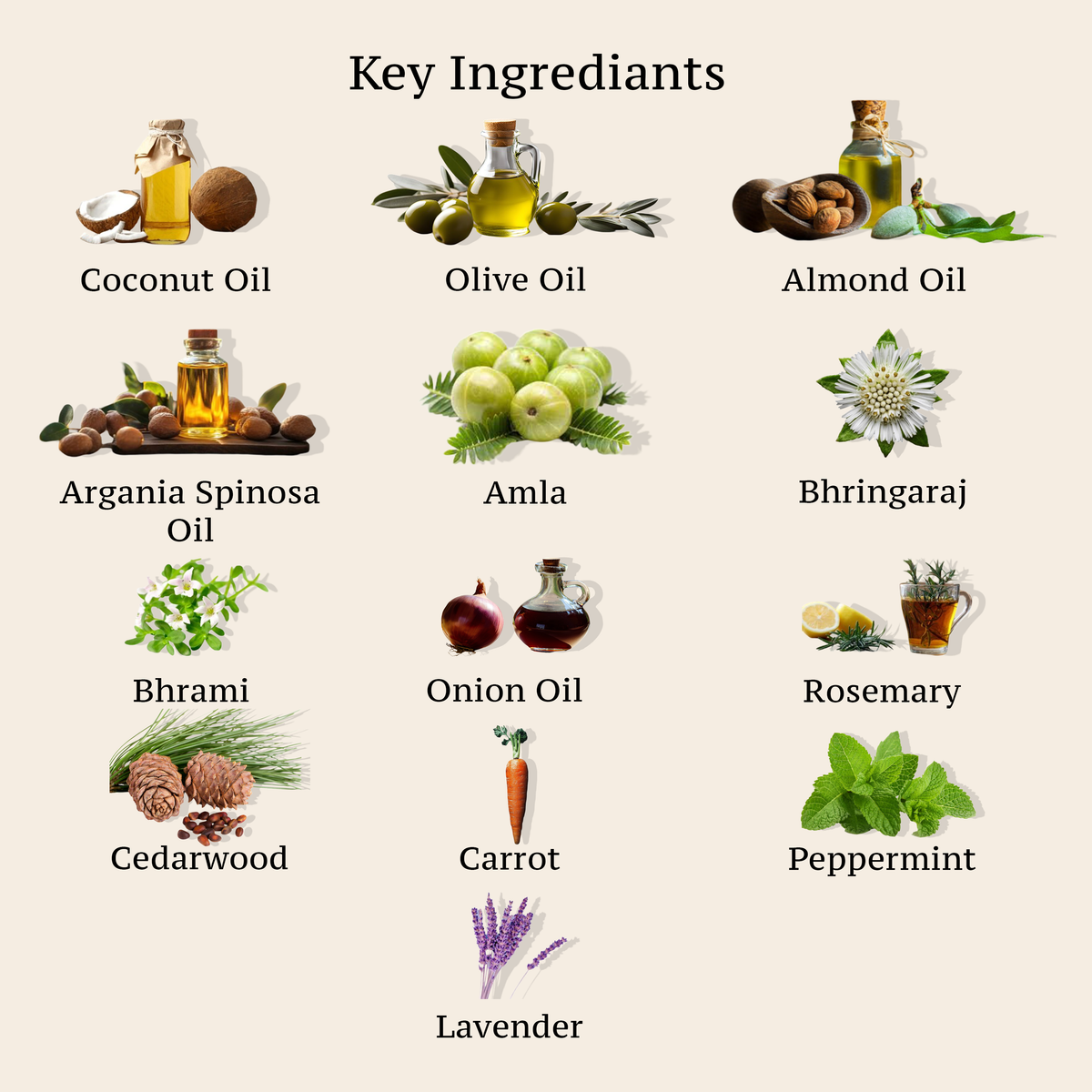 REJUVENATING HAIR OIL (Enriched with Almond, Moroccan, Onion & Coconut Oil)
