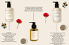 THE WELL-BEING COLLECTION 1