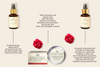 THE COMFORTING COLLECTION 2
