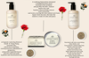THE WELL-BEING COLLECTION 2