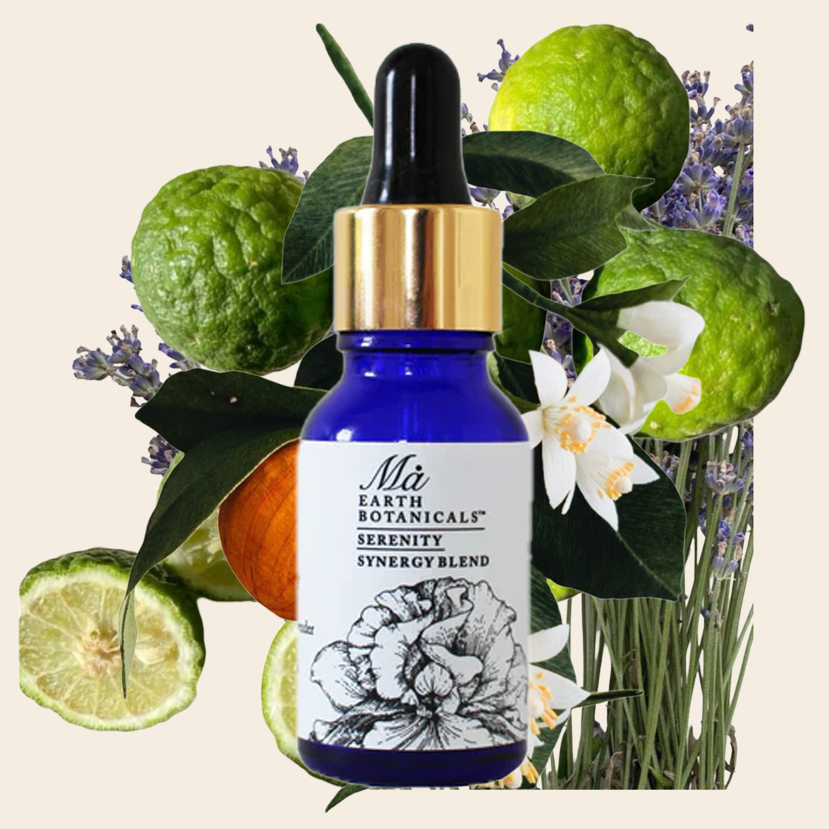 SERENITY SYNERGY BLEND