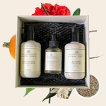 THE WELL-BEING COLLECTION 1