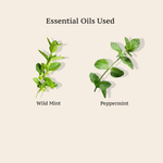 WILD MINT & COCONUT, PINK HIMALAYAN SALT BODY EXFOLIANT