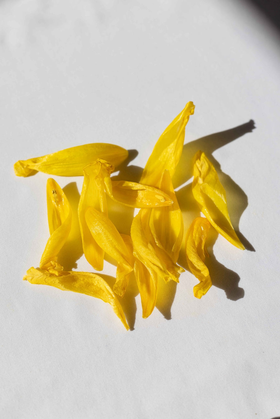 Ylang Ylang: